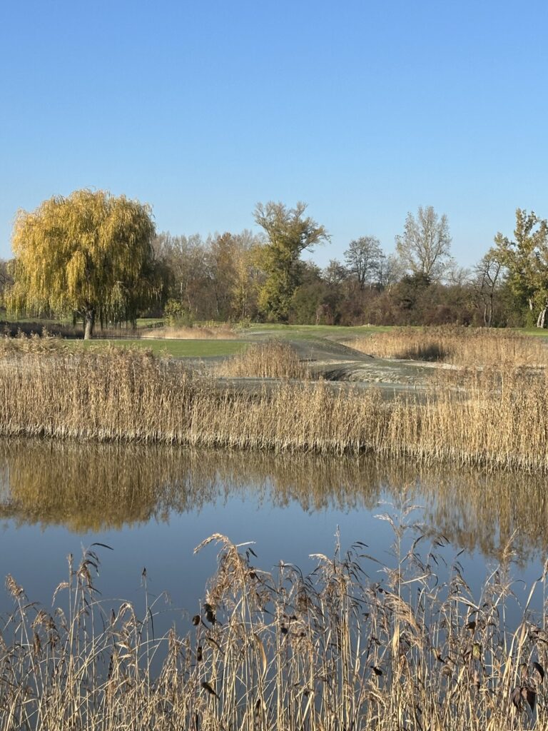 Anlage von Biodiversitätsbereichen