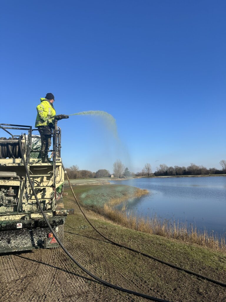 Effiziente Begrünung mit wasserspeichernden Materialien