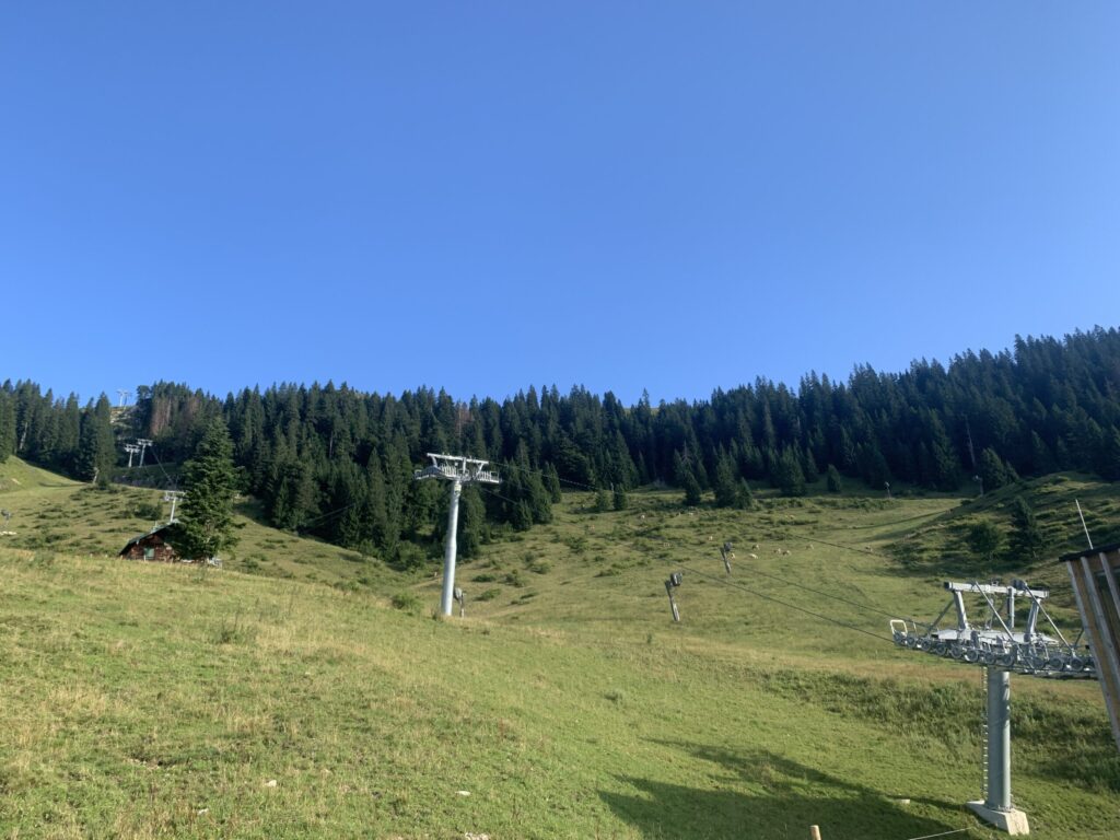 Höhenlagenbegrünung Hydrosaat