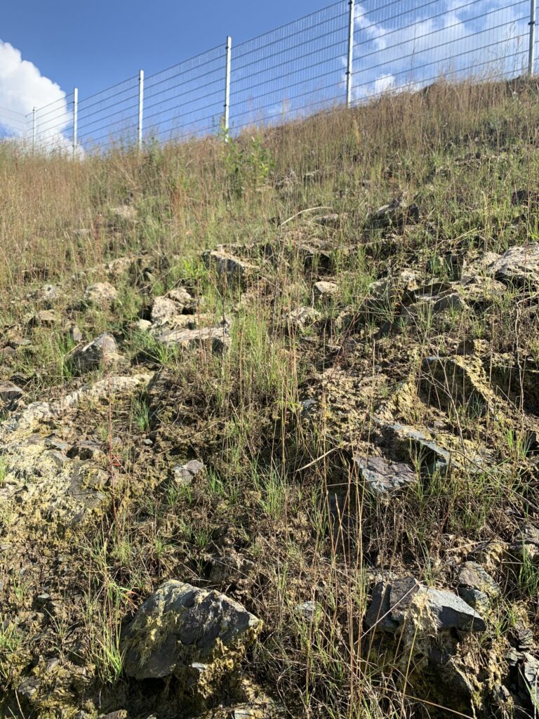 Hydroseeding Böschung