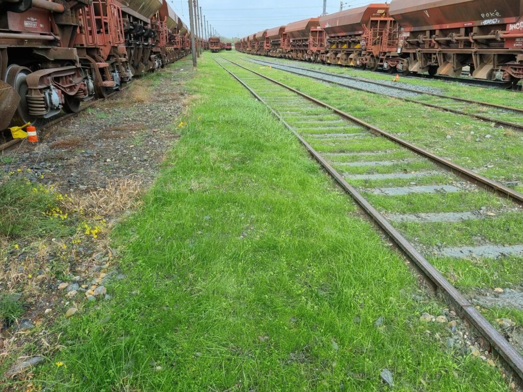Hydroseeding Gleisböschung