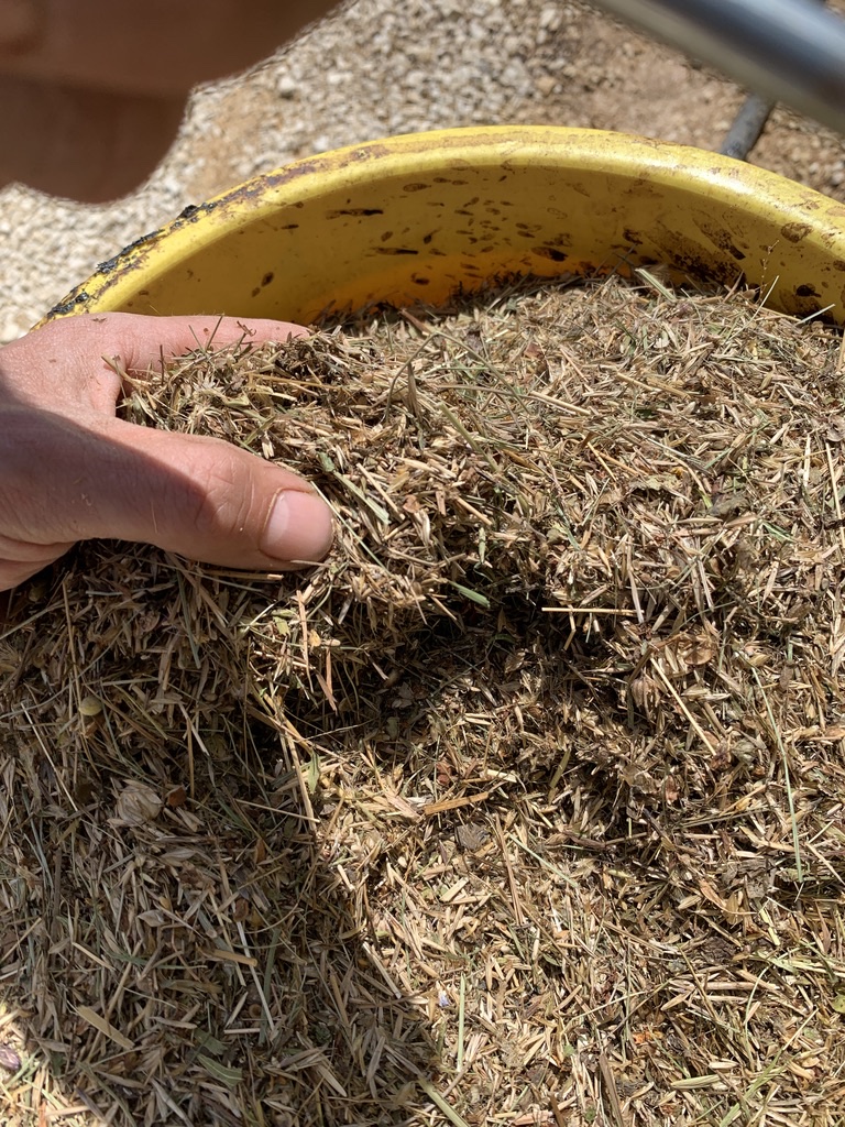 Warum Holzfaser nicht gleich Holzfaser ist – Faserqualität, Wasserrückhalt und Keimhorizont