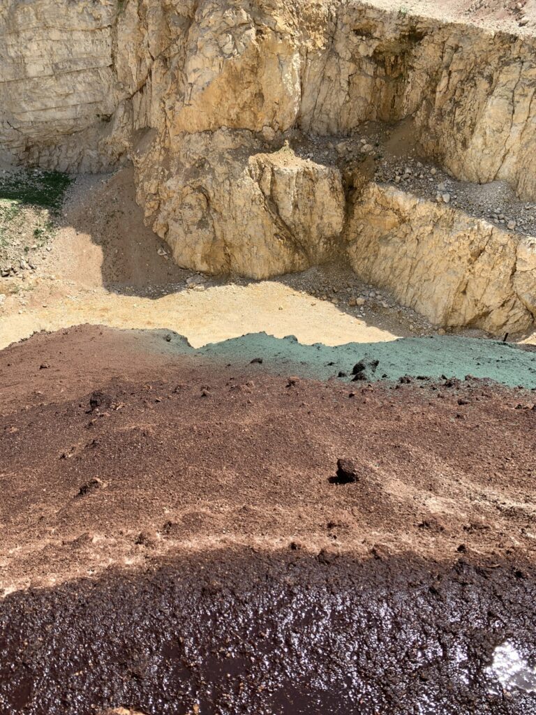 Pedogenese im Bauprojekt – Bodenentwicklung als Planungsgrundlage