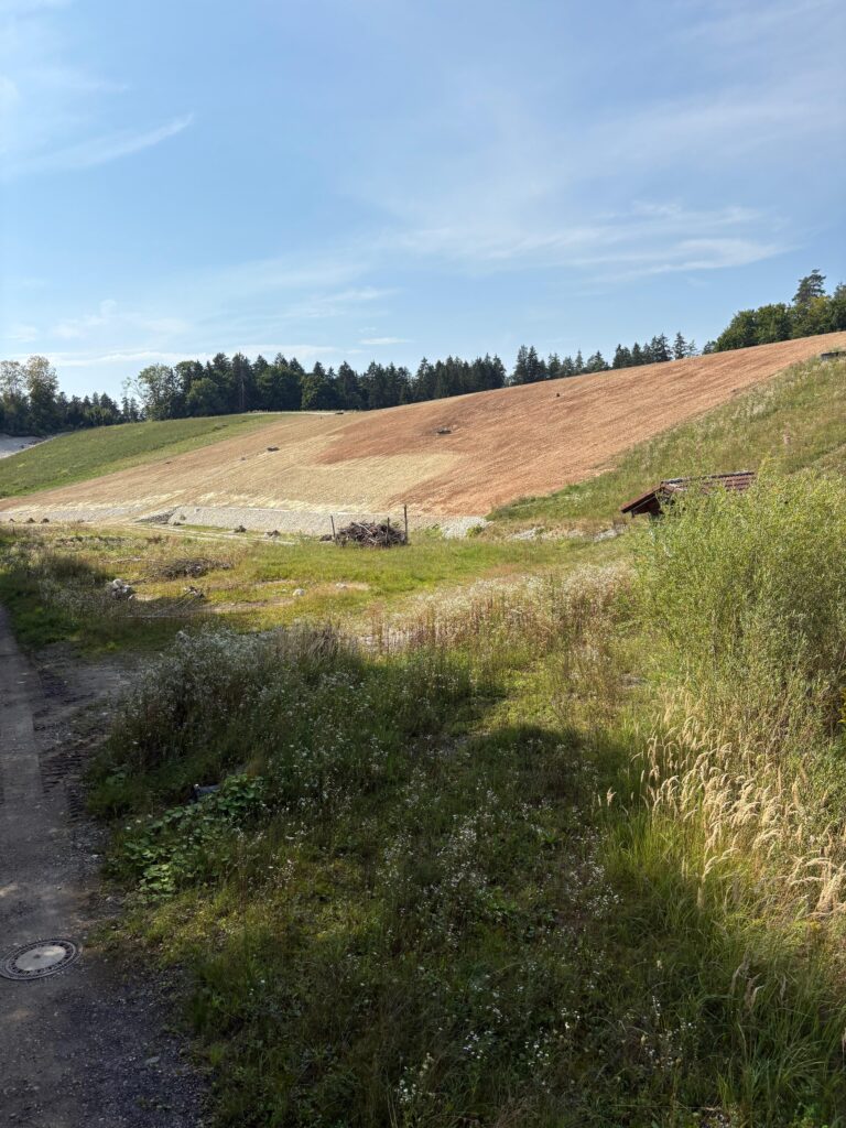 Rekultivierung & Renaturierung