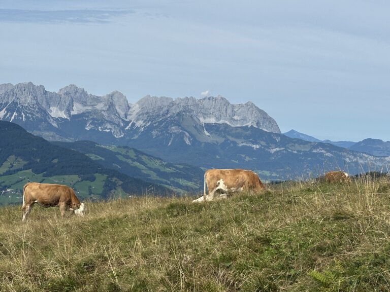 Alpines Vegetationsmanagement – Landwirtschaft, Tourismus und standorttypische Vegetation im Einklang