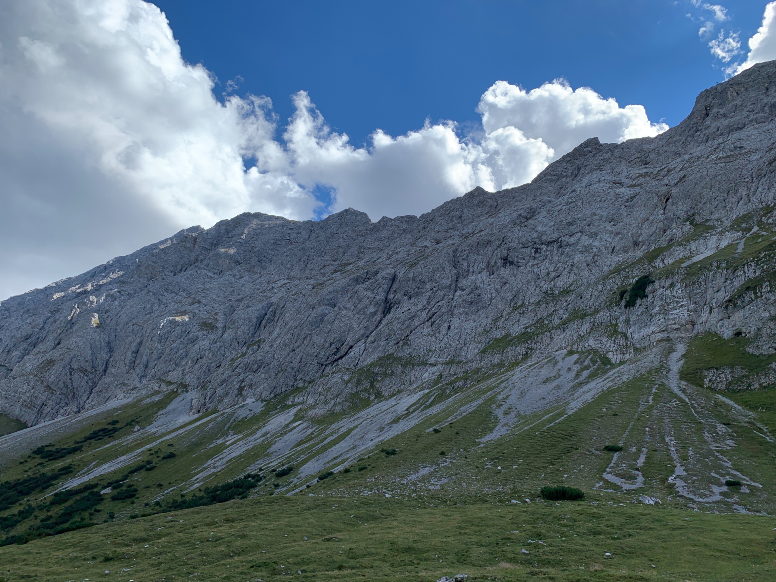 Alpine Vegetationsperiode Hochlage Erosion